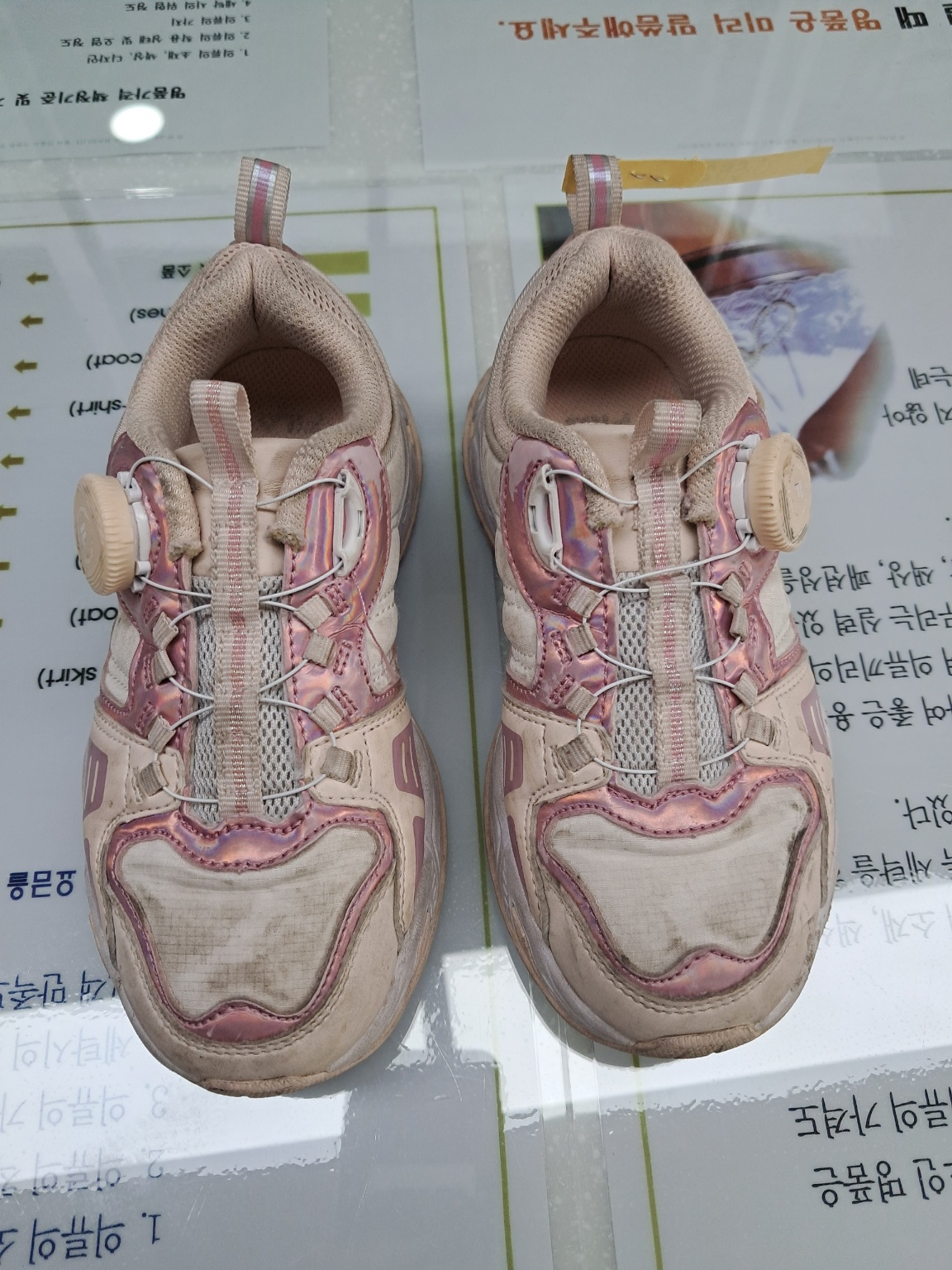 3555374093_5Dd9Scgs_735555adb3ffce547521f631eef53f1abcdd8a9a.jpg 이미지크게보기